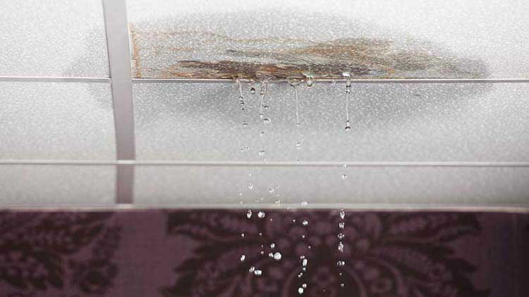 Water Leak Dangers